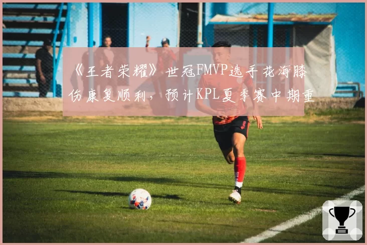 《王者荣耀》世冠FMVP选手花海膝伤康复顺利，预计KPL夏季赛中期重返赛场