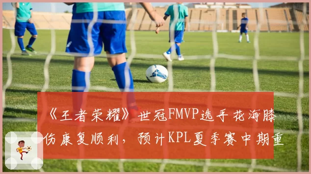 《王者荣耀》世冠FMVP选手花海膝伤康复顺利，预计KPL夏季赛中期重返赛场